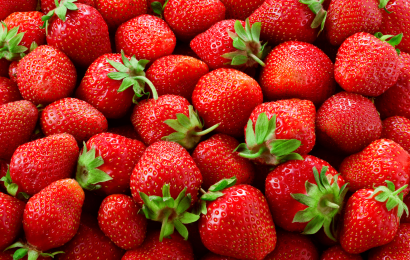 DANI JAGODA NA NERETVI - 2 dana autobusom